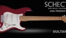 Schecter Custom Shop Sultan Schecter Custom Shop Sultan
